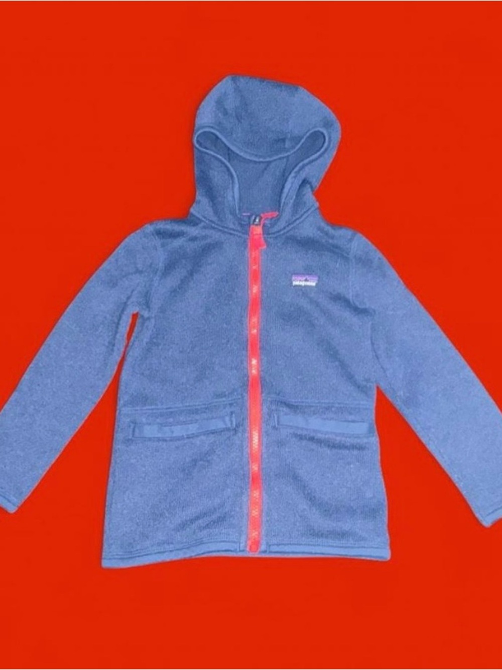 Patagonia Kids Blue Fleece Hoodie with red Zip